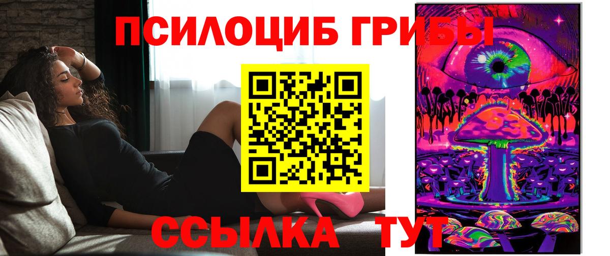 Псилоцибиновые грибы Psilocybine cubensis Губаха